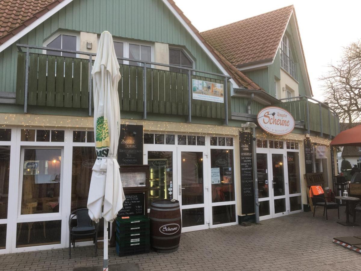 Doppelhaushaelfte Birkenstrasse 5E Villa Zingst Eksteriør billede