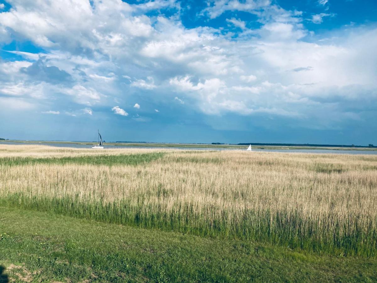 Doppelhaushaelfte Birkenstrasse 5E Villa Zingst Eksteriør billede